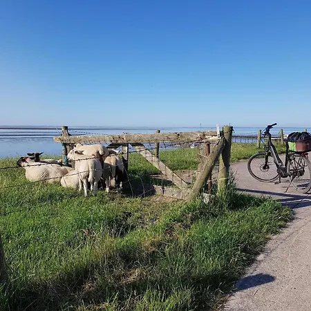 Freistehendes Auf Eigenem Grundstück, Wlan, Direkt Nordsee Im Eckwarderhörne J10 Ferienhaus *